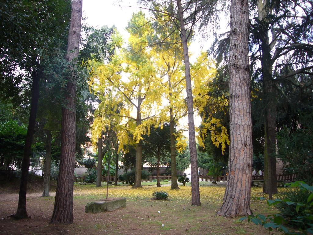 Villa Altieri Альбано-Лациале Экстерьер фото