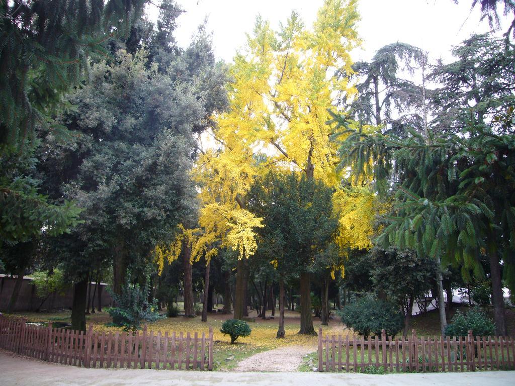 Villa Altieri Альбано-Лациале Экстерьер фото