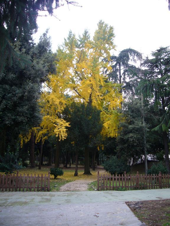 Villa Altieri Альбано-Лациале Экстерьер фото